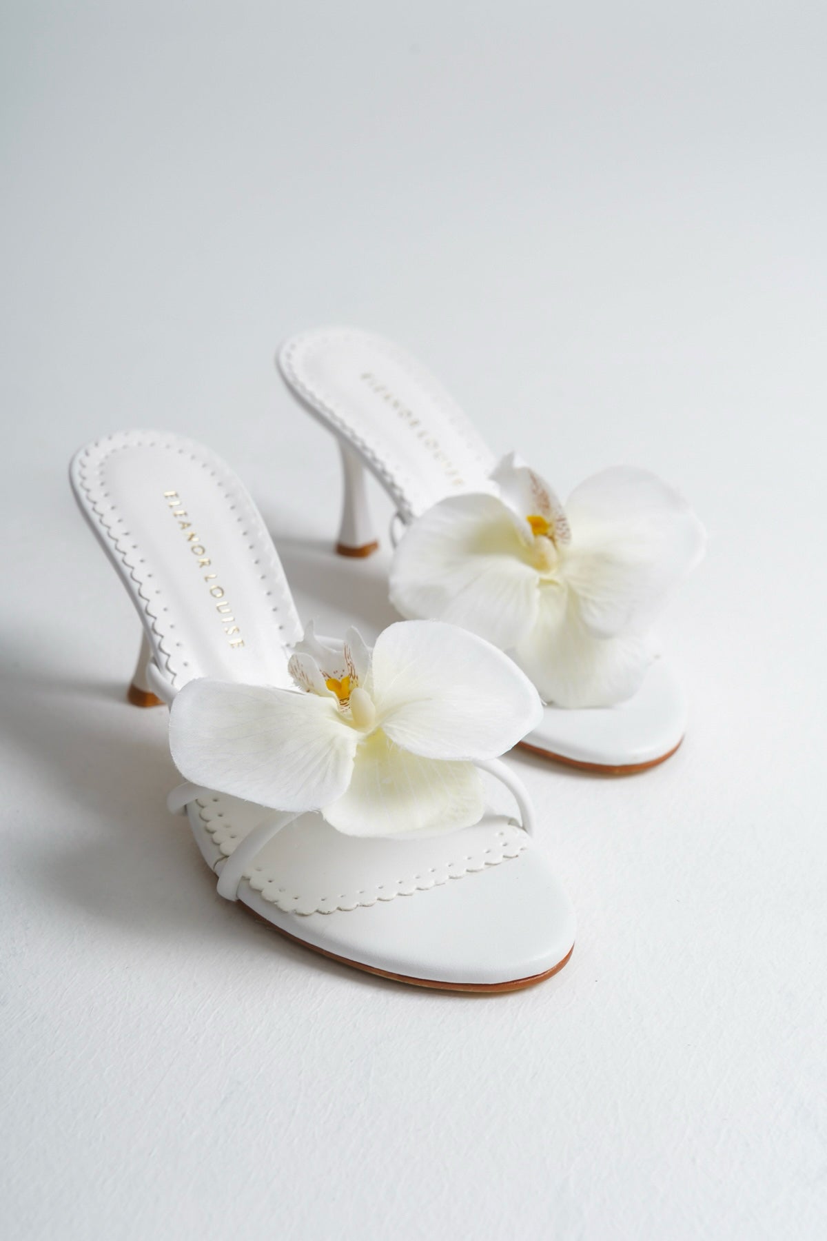 Gisella | Mula Orquídea Blanca