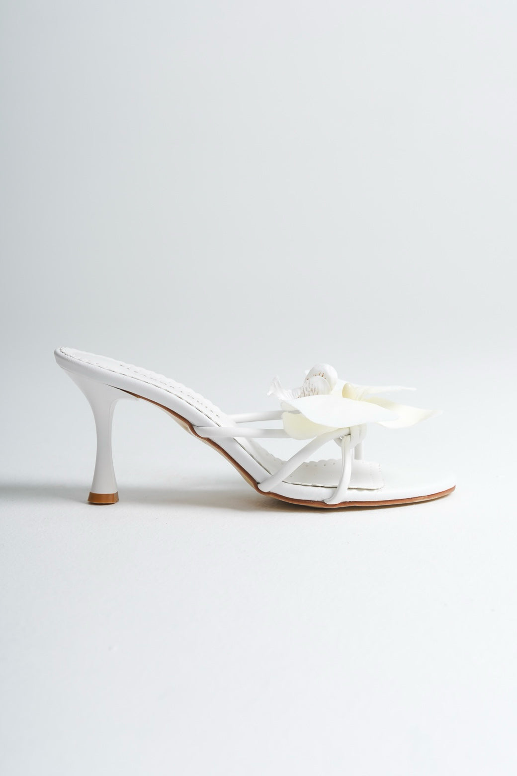 Gisella | Mula Orquídea Blanca